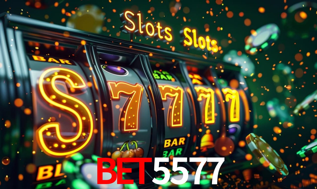 Experiência VIP bet5577