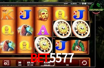 A Experiência Imersiva dos Cassinos Ao Vivo no bet5577